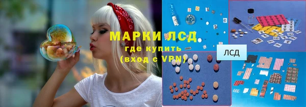 ПСИЛОЦИБИНОВЫЕ ГРИБЫ Козловка