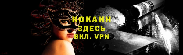 ПСИЛОЦИБИНОВЫЕ ГРИБЫ Козловка