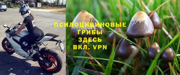 дживик Козельск