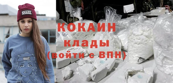 дживик Козельск
