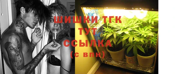 дживик Козельск